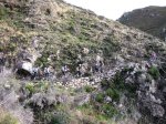 PICU PIENZU-XABALIS ENDURO (13).JPG