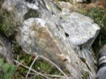 PICU PIENZU-XABALIS ENDURO (36).JPG
