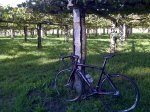 IMG-20121021-00186.jpg