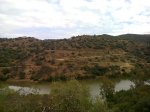 Foto0022.jpg