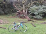 CICLOCROSS VOLCANIC 2 [1024x768].jpg