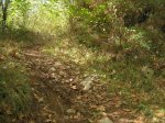 IMG_1289.JPG