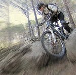 IMG_1927.JPG