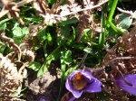 P1120021_800x600.jpg