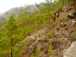 DSCN3901.jpg