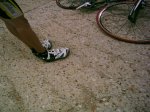 PHTO0098.jpg