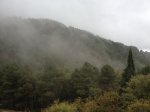 ImageUploadedByTapatalk1350927929.033149.jpg