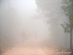 ImageUploadedByTapatalk1350927975.876683.jpg