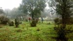 2012-10-20_11-01-24_690.jpg