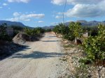 DSC07259.JPG