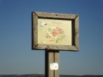 DSC04556.JPG