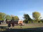 DSC04572.JPG
