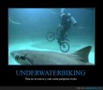 CR_360087_underwaterbiking.jpg