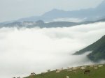 PICT0170.jpg