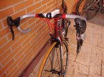 DSC01580.JPG