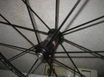 IMG_1680.JPG