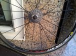 20121023_175301.jpg