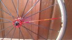 IMG-20121025-WA0009.jpg