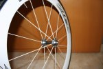 zipp lat.jpg