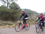 6-Cabeza de grupo en el Pino.JPG