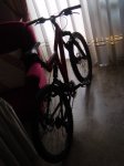 DSC05914.JPG