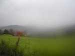 P1010038.JPG