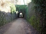 DSCN0473.JPG