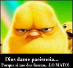 pollo.jpg