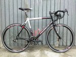 Foto0271pinarello2.jpg