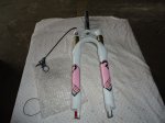 DSC00577.JPG