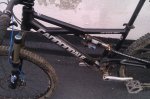 IMAG0041.jpg