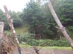 DSCN1216.JPG