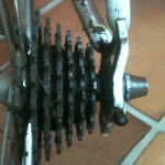 pi&#241;on.gif
