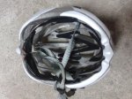 CASCO SPIUK (2).jpg