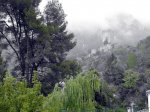 corregida.jpg