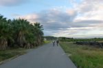 P1060206_800x533.jpg
