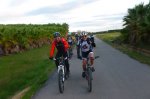 P1060210_800x533.jpg
