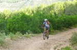 P1060218_800x533.jpg