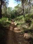 CIMG3004 (Copiar).JPG