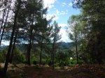 CIMG3017 (Copiar).JPG