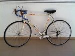 torrot.JPG