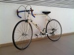 torrot 1.JPG