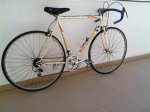 torrot 2.JPG
