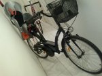 B. Paseo 1.jpg