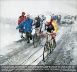 snow.jpg