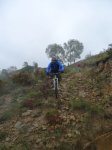 DSC09577.jpg