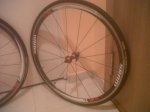 IMG00037-20121027-1923.jpg