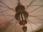IMG00040-20121027-1923.jpg
