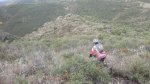 PA272084.JPG