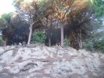 DSCF5582.JPG